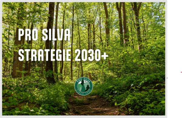 Pro Silva Strategie 2030+