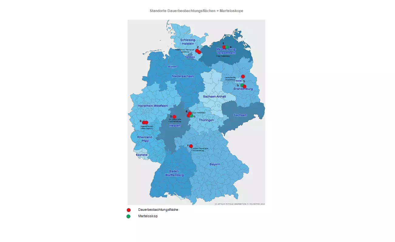 Standorte Dauerbeobachtungsflchen + Marteloskope