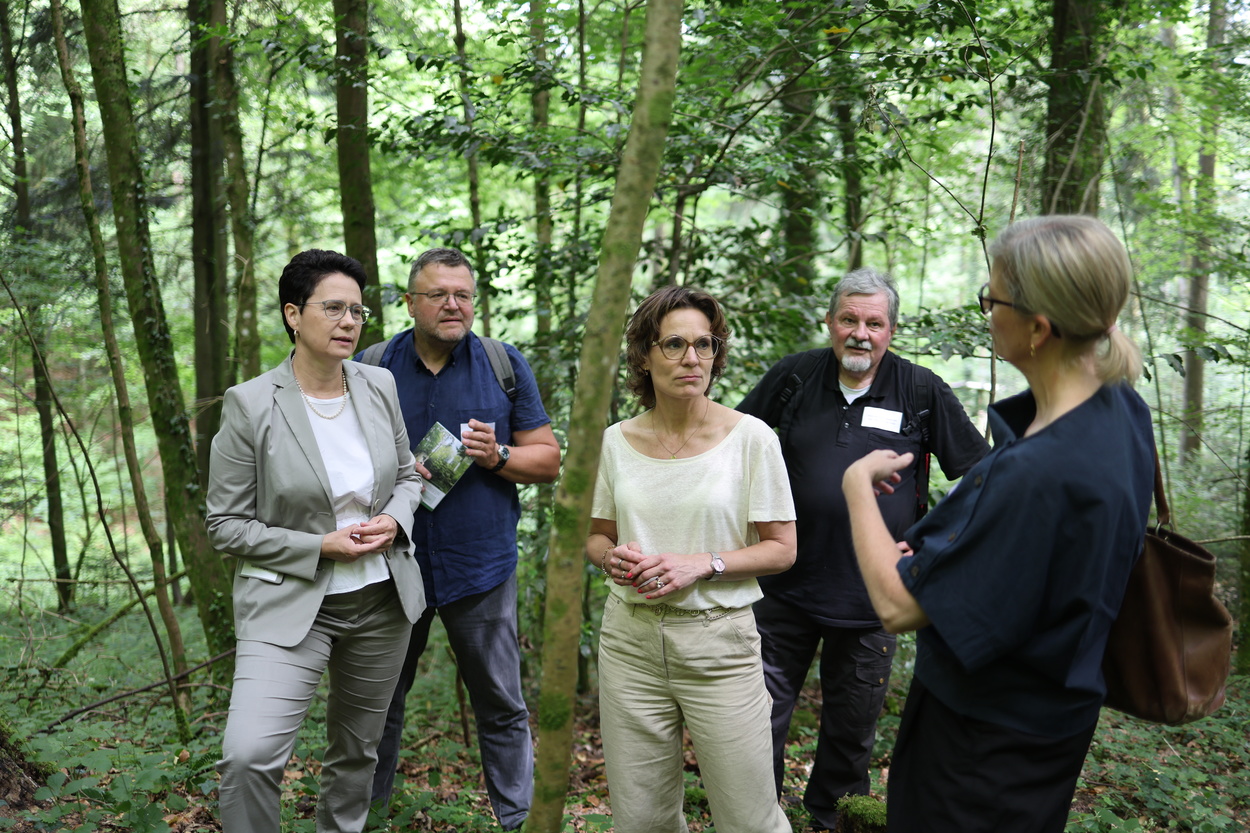 v.l. Landwirtschaftsministerin Baden-W�rttemberg M. Gentges, Pr�sident Pro Silva T. Vrska, Umweltkommissarin J. Roswall, ANW-Bundesvorsitzender H von der Goltz,  EU Policy Officer Forests S. Schmidt Foto: S.P. Pereira